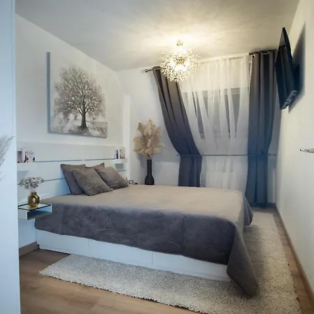 公寓 Superbe Au Coeur Du 科尔马