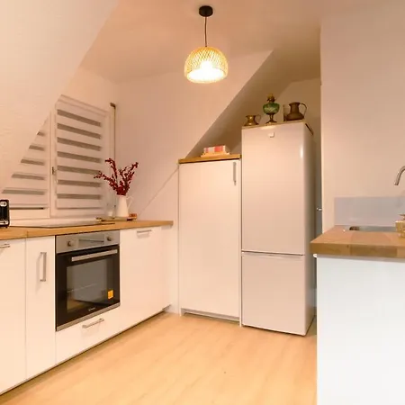 Superbe Au Coeur Du 科尔马