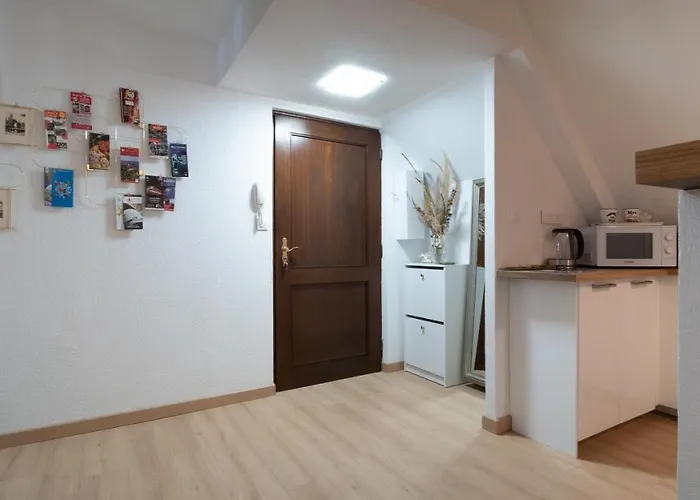 Superbe Au Coeur Du Apartment Colmar